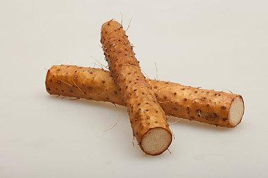 白金工作室将于28日举行直播 介绍三款游戏情报